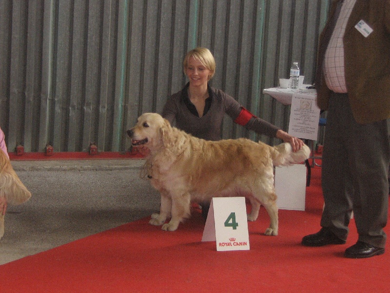 Choupette De la colline aux chiens